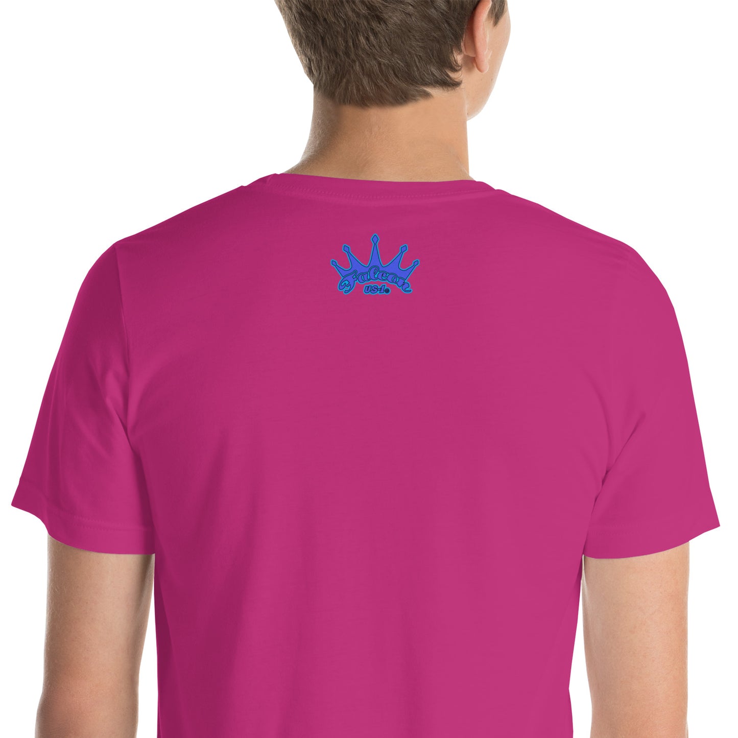 t-shirt Kings of Miami-Blue Falcon Logo