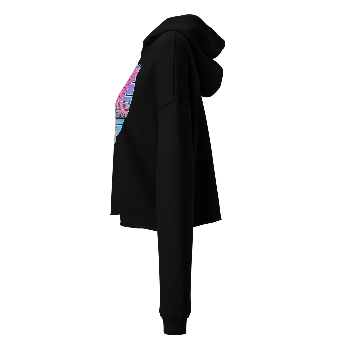 Crop Hoodie - Pink Retro Sunburst Logo