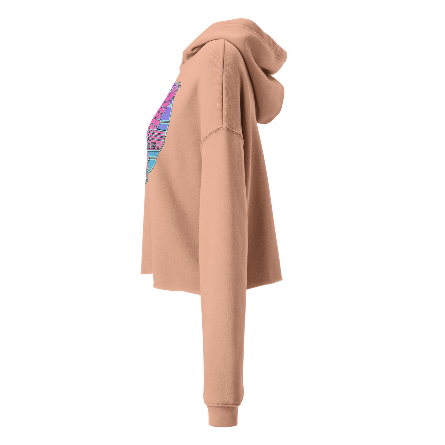 Crop Hoodie - Pink Retro Sunburst Logo