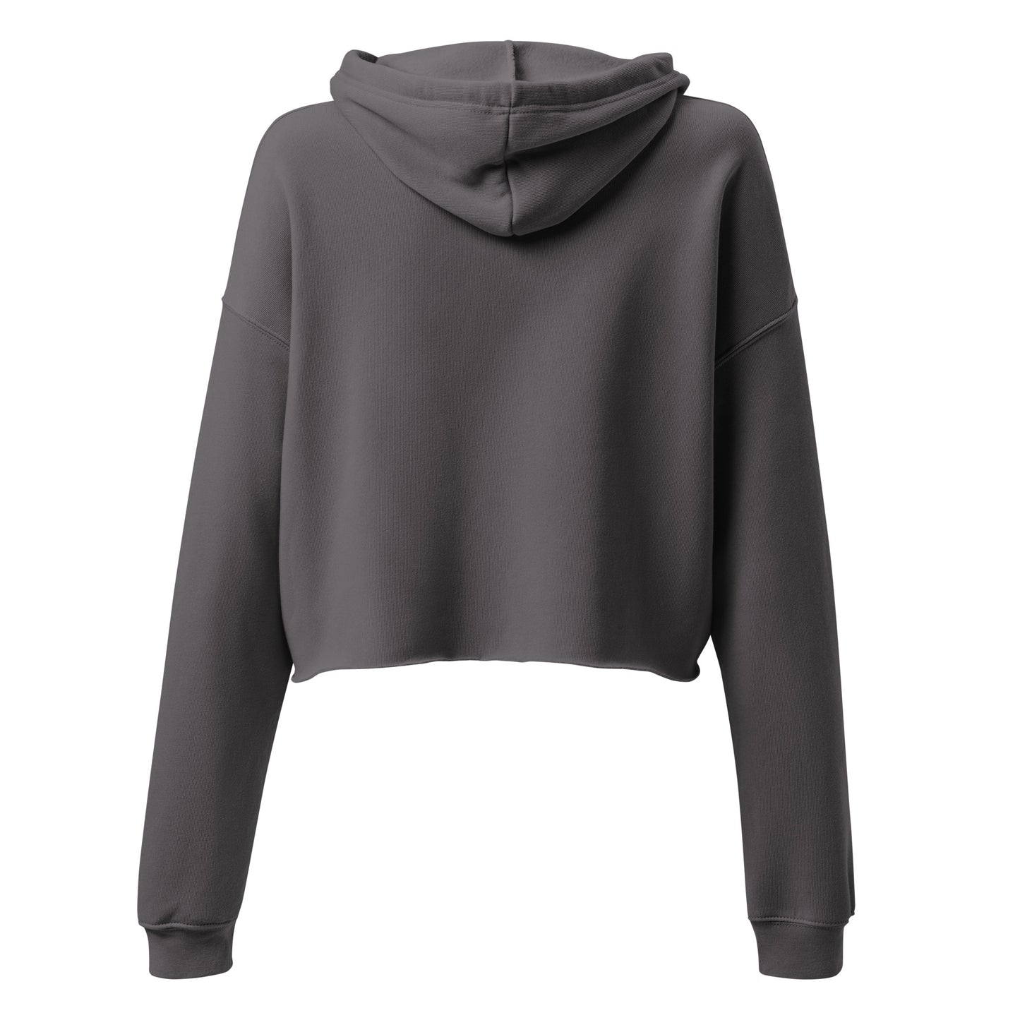 Crop Hoodie - Pink Retro Sunburst Logo