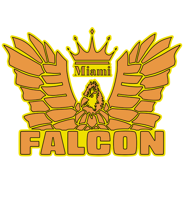 Falcon US-1