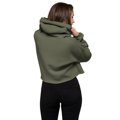 Crop Hoodie - Pink Retro Sunburst Logo